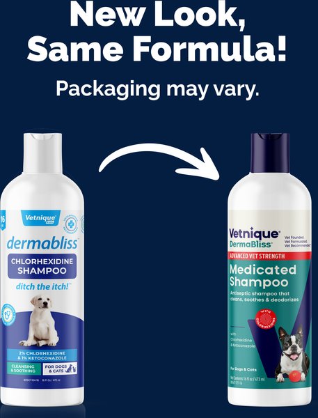 Show full view: Vetnique Labs Dermabliss Medicated Anti-Bacterial & Anti-Fungal Chlorhexidine Infection Cat & Dog Shampoo, 16-fl oz bottle slide 2 of 11