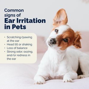 Vetnique Labs OticBliss Advanced Vet Strength Anti-Bacterial & Anti-Fungal Dog & Cat Ear Flush Cleaner for Ear Infections, 12-oz bottle