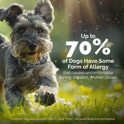 Vetnique Labs Oticbliss Medicated Hydrocortisone Ear Drops for Ear Infections for Dogs & Cats, 1.8-fl oz bottle slide 2 of 9