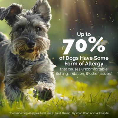 Show full view: Vetnique Labs Oticbliss Medicated Hydrocortisone Ear Drops for Ear Infections for Dogs & Cats, 1.8-fl oz bottle slide 9 of 11