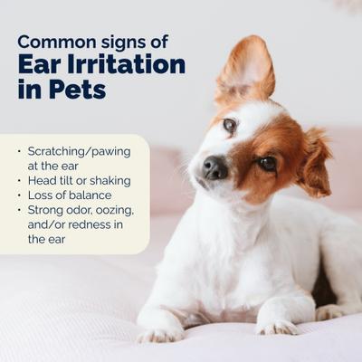 Show full view: Vetnique Labs Oticbliss Medicated Hydrocortisone Ear Drops for Ear Infections for Dogs & Cats, 1.8-fl oz bottle slide 7 of 11