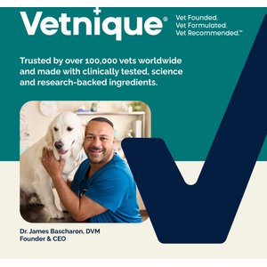 Vetnique Labs Dermabliss Medicated Anti-Bacterial & Anti-Fungal Chlorhexidine Infection Cat & Dog Shampoo, 16-fl oz bottle