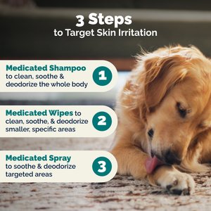 Vetnique Labs Dermabliss Medicated Anti-Bacterial & Anti-Fungal Chlorhexidine Infection Cat & Dog Shampoo, 16-fl oz bottle