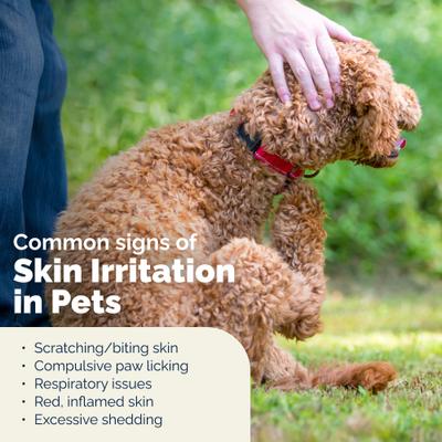 Show full view: Vetnique Labs Dermabliss Medicated Anti-Bacterial & Anti-Fungal Chlorhexidine Infection Dog & Cat Skin Spray, 8-oz bottle slide 7 of 11