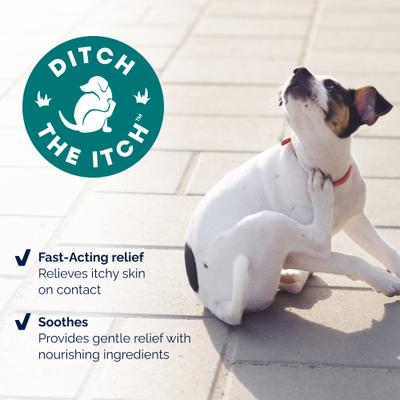 Show full view: Vetnique Labs Dermabliss Anti-Itch & Allergy Relief Hydrocortisone Fragrance-Free Dog & Cat Skin Spray, 4-fl oz bottle slide 5 of 12