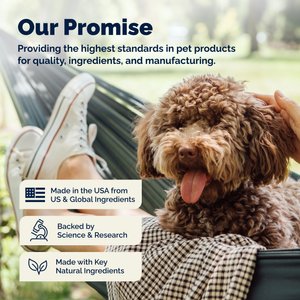 Vetnique Labs Dermabliss Medicated Anti-Bacterial & Anti-Fungal Chlorhexidine Infection Cat & Dog Shampoo, 16-fl oz bottle