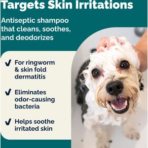 Vetnique Labs Dermabliss Medicated Anti-Bacterial & Anti-Fungal Chlorhexidine Infection Cat & Dog Shampoo, 16-fl oz bottle
