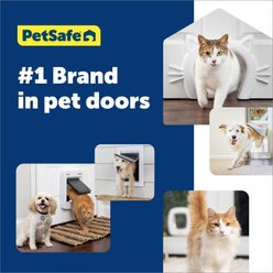 PetSafe Extreme Weather Energy Efficient Pet Door, Small slide 2 of 8