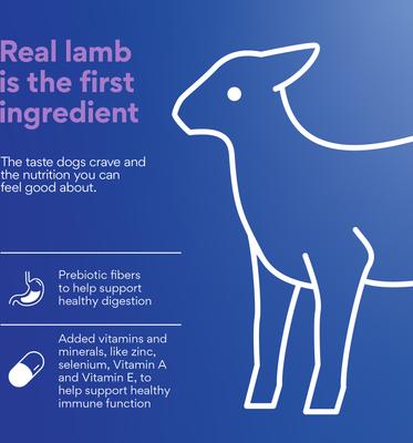 Show full view: Chewy Lamb & Brown Rice Recipe with Prebiotics Dry Adult Dog Food, 30-lb bag slide 5 of 10