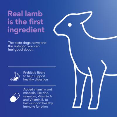 Show full view: Chewy Lamb & Brown Rice Recipe with Prebiotics Dry Adult Dog Food, 40-lb bag slide 5 of 10