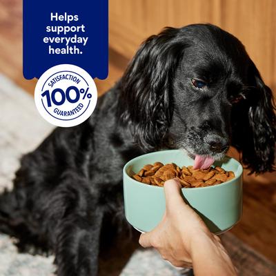 Show full view: Chewy Lamb & Brown Rice Recipe with Prebiotics Dry Adult Dog Food, 30-lb bag slide 7 of 10