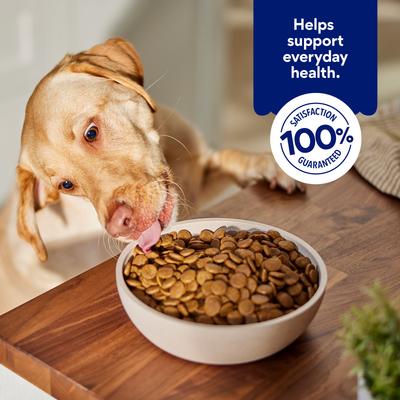 Show full view: Chewy Chicken & Brown Rice Recipe with Prebiotics Dry Adult Dog Food, 30-lb bag slide 7 of 10