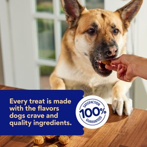 Chewy Made Soft-Baked With Peanut Butter & Banana Grain-Free Dog Treats (FORMERLY AMERICAN JOURNEY), 8-oz bag