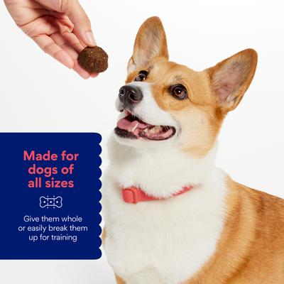 Show full view: Chewy Soft-Baked Beef Recipe Grain-Free Dog Treats (FORMERLY AMERICAN JOURNEY), 8-oz bag slide 4 of 10