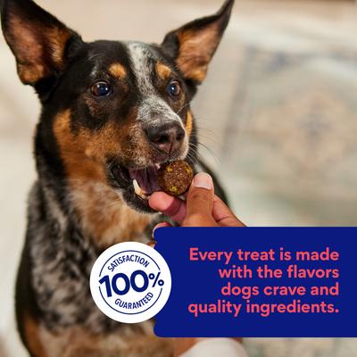 Show full view: Chewy Soft-Baked Beef Recipe Grain-Free Dog Treats (FORMERLY AMERICAN JOURNEY), 8-oz bag slide 7 of 10