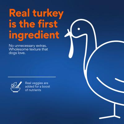 Show full view: Chewy Soft-Baked Turkey Recipe Grain-Free Dog Treats (FORMERLY AMERICAN JOURNEY), 8-oz bag slide 5 of 10