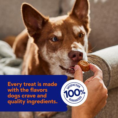 Show full view: Chewy Soft-Baked Turkey Recipe Grain-Free Dog Treats (FORMERLY AMERICAN JOURNEY), 8-oz bag slide 7 of 10