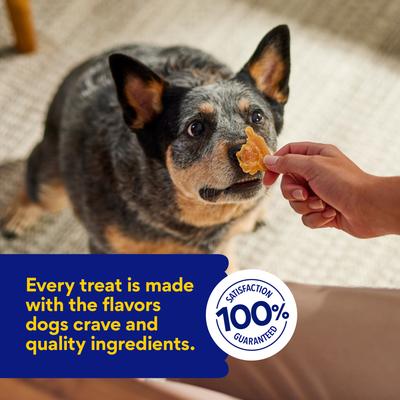 Show full view: Chewy Limited Ingredient Chicken Jerky Natural Grain-Free Dog Treats (FORMERLY AMERICAN JOURNEY), 6.5-oz bag slide 7 of 10