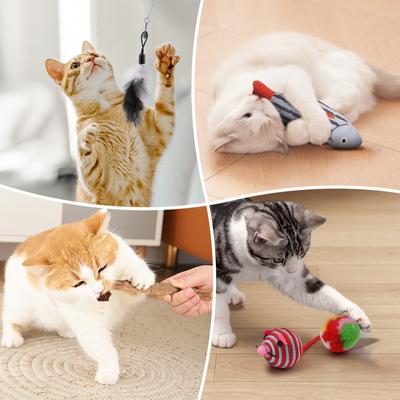 Show full view: Fashion's Talk 20 Piece Variety Pack Cat Toys slide 5 of 9