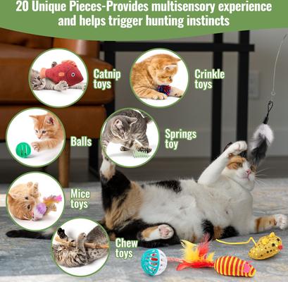 Show full view: Fashion's Talk 20 Piece Variety Pack Cat Toys slide 4 of 9