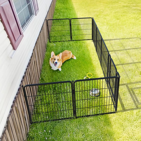 Show full view: FXW Rollick Indoor & Outdoor Dog Playpen, Black, 32-in, 8-panel slide 6 of 10