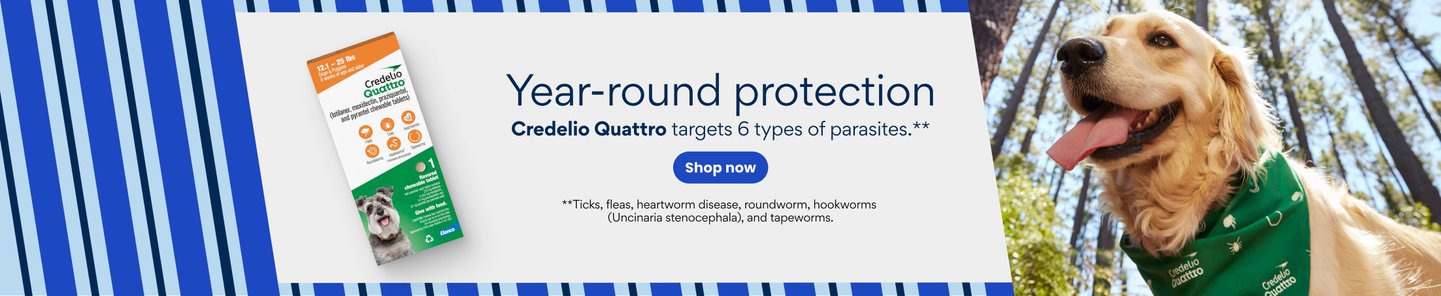 Year-round protection Credelio Quattro targets 6 types of parasites.** Shop now **Ticks, fleas, heartworm disease, roundworm, hookworms (Uncinaria stenocephala), and tapeworms.,