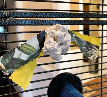 Show full view: Polly's Pet Products Buffer Bird Beak Conditioner, Large slide 2 of 6