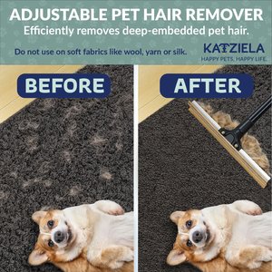 Katziela DuoSweep Broom Pet Hair Remover