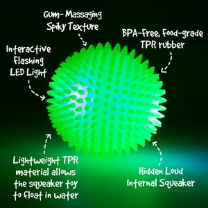 Gnawsome Squeak & Light LED Ball Dog Toy, Color Varies, Medium