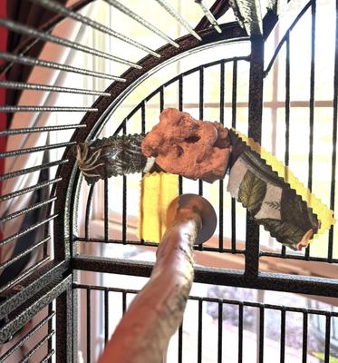 Show full view: Polly's Pet Products Buffer Bird Beak Conditioner, Large slide 5 of 6