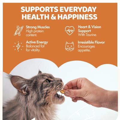 Show full view: Sprankles Tasty Chicken Flavored Crunchy Cat Treats, 8-oz bag slide 5 of 6