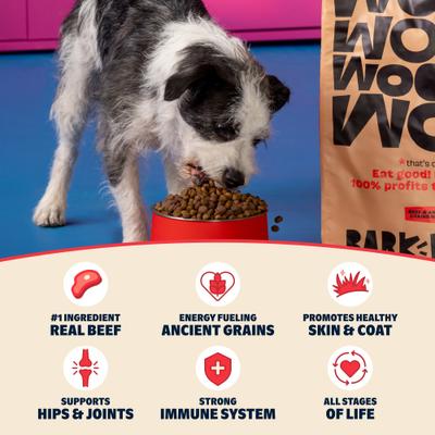Show full view: BARK in the Belly Beef & Ancient Grains Recipe Dog Food, 4-lb bag slide 7 of 11