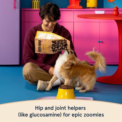 Show full view: BARK in the Belly Chicken & Ancient Grains Recipe Dog Food, 4-lb bag slide 5 of 11