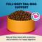Show in main carousel: BARK in the Belly Chicken & Ancient Grains Recipe Dog Food, 4-lb bag slide 4 of 11