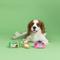 Show in main carousel: Fringe Studio Eggstra Sweets Dog Toy, 3 count slide 2 of 2