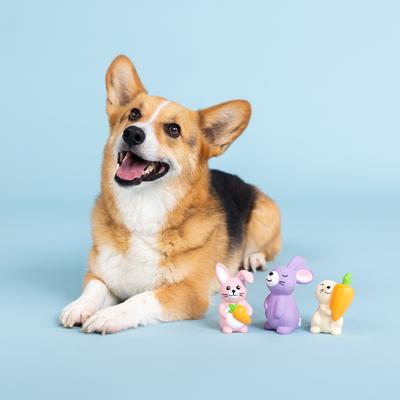 Show full view: Fringe Studio Hopping Love Carrots Mini Latex Dog Toys, 3 count slide 3 of 3