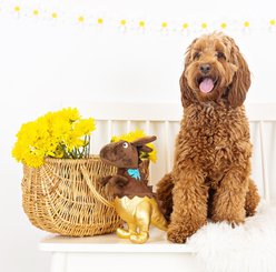 Fringe Studio Choc-A-Saurus Rex Plush Dog Toy slide 2 of 3