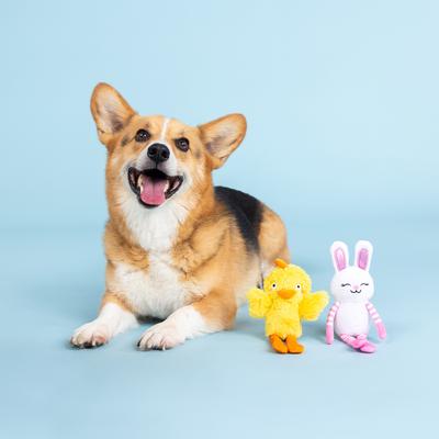 Show full view: Fringe Studio Have A Hoppy Easter Latex Dog Toy slide 4 of 4