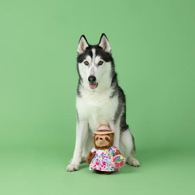 Show full view: Fringe Studio Sundays Best Plush Dog Toy slide 2 of 2