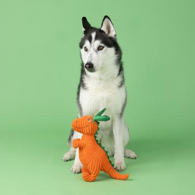 Show full view: Fringe Studio Carrot Bout You Plush Dog Toy slide 3 of 4