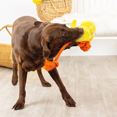 Show full view: Fringe Studio Sweet Little Chick Plush Dog Toy slide 3 of 3