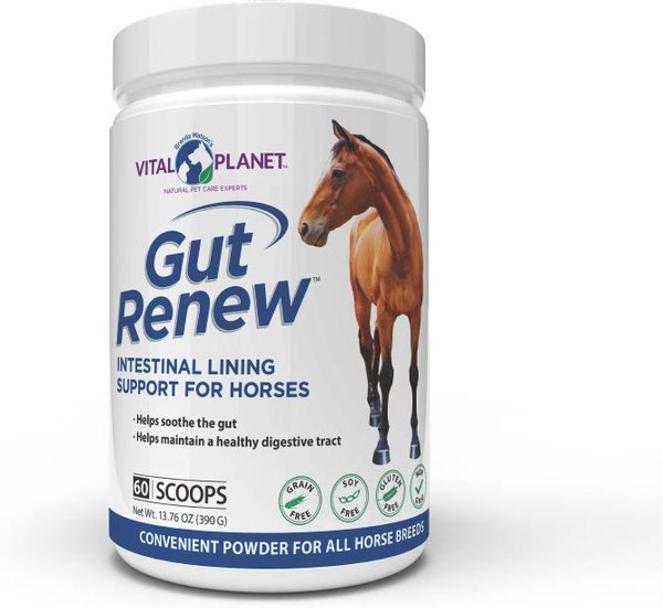 Show full view: Vital Planet Gut Renew Powder Horse Supplement, 13.76-oz bottle slide 1 of 1