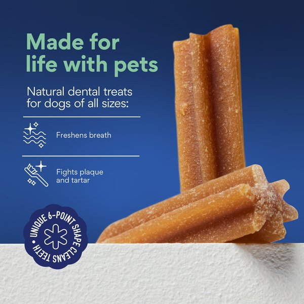 Chewy Natural Mint Flavor Dental Chew Dog Treats (FORMERLY TRUE ACRE FOODS)