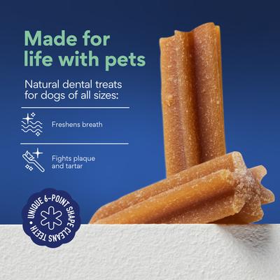 Show full view: Chewy Natural Mint Flavor Dental Chew Dog Treats, 32 count slide 5 of 10