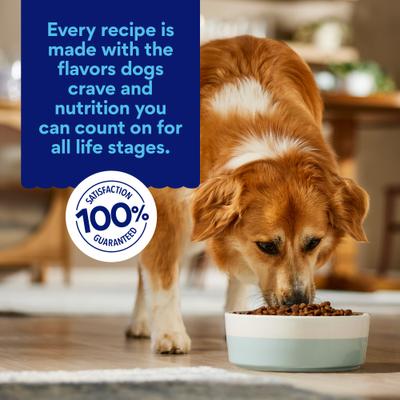 Show full view: Chewy Limited Ingredient Venison & Sweet Potato Recipe Grain-Free Dry Dog Food (FORMERLY AMERICAN JOURNEY), 12-lb bag slide 7 of 10