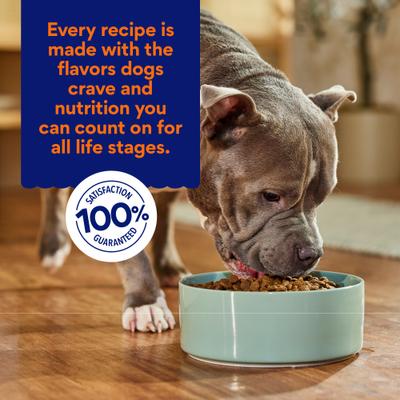 Show full view: Chewy Limited Ingredient Turkey & Sweet Potato Recipe Grain-Free Dry Dog Food (FORMERLY AMERICAN JOURNEY), 24-lb bag slide 7 of 10