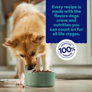 Chewy Limited Ingredient Salmon & Sweet Potato Recipe Grain-Free Dry Dog Food (FORMERLY AMERICAN JOURNEY), 24-lb bag
