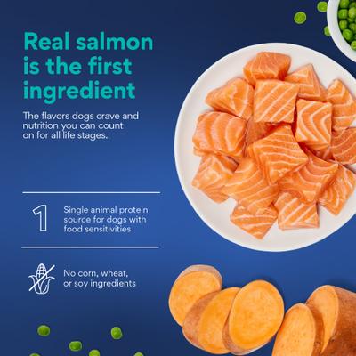 Show full view: Chewy Limited Ingredient Salmon & Sweet Potato Recipe Grain-Free Dry Dog Food (FORMERLY AMERICAN JOURNEY), 12-lb bag slide 5 of 10