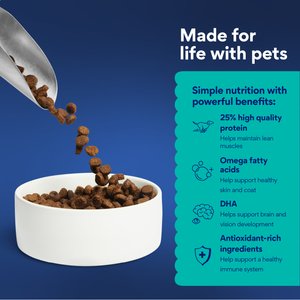 Chewy Limited Ingredient Salmon & Sweet Potato Recipe Grain-Free Dry Dog Food (FORMERLY AMERICAN JOURNEY), 24-lb bag