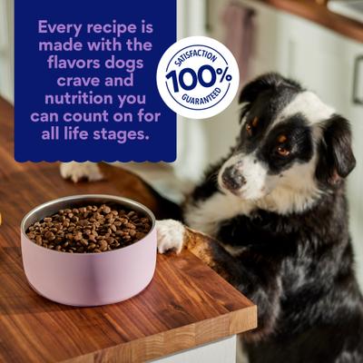 Show full view: Chewy Limited Ingredient Lamb & Sweet Potato Recipe Grain-Free Dry Dog Food (FORMERLY AMERICAN JOURNEY), 24-lb bag slide 7 of 10